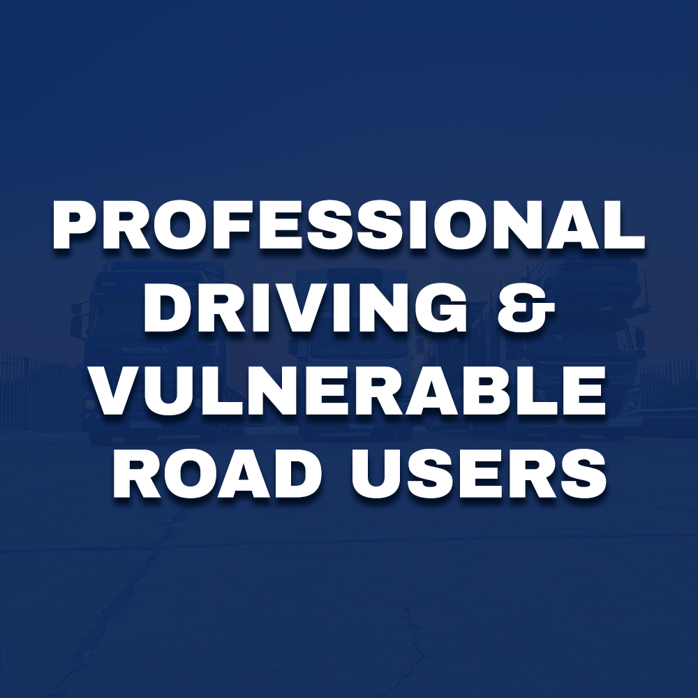 Professional driving vulnerable road users